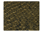 251 Gold Snake